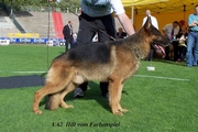 BSZS Karlsruhe 2004