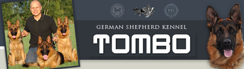 TOMBO - German Shepherd Kennel